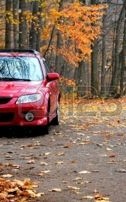 1861895-auto-rossa-parcheggiata-in-un-parco-durante-l-autunno-in-michigan (3)
