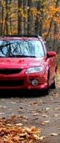 1861895-auto-rossa-parcheggiata-in-un-parco-durante-l-autunno-in-michigan (4)